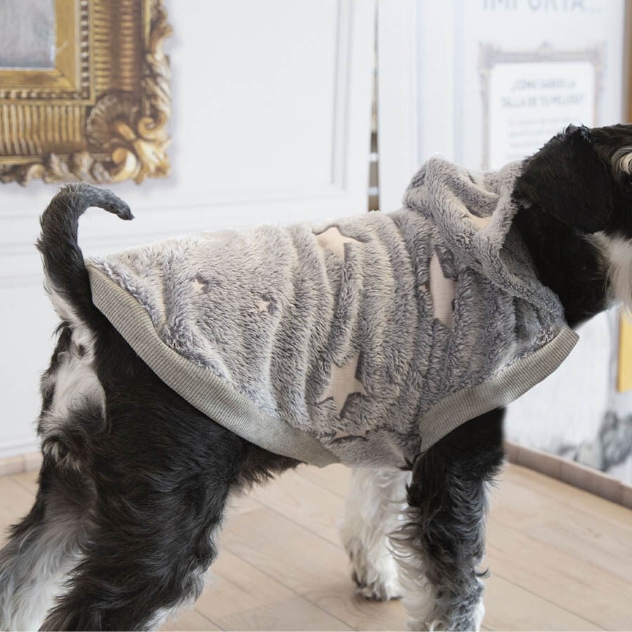 Outech Fleece Sudadera Gris con Estampado de Estrellas para perros, , large indicador imagen numero 4